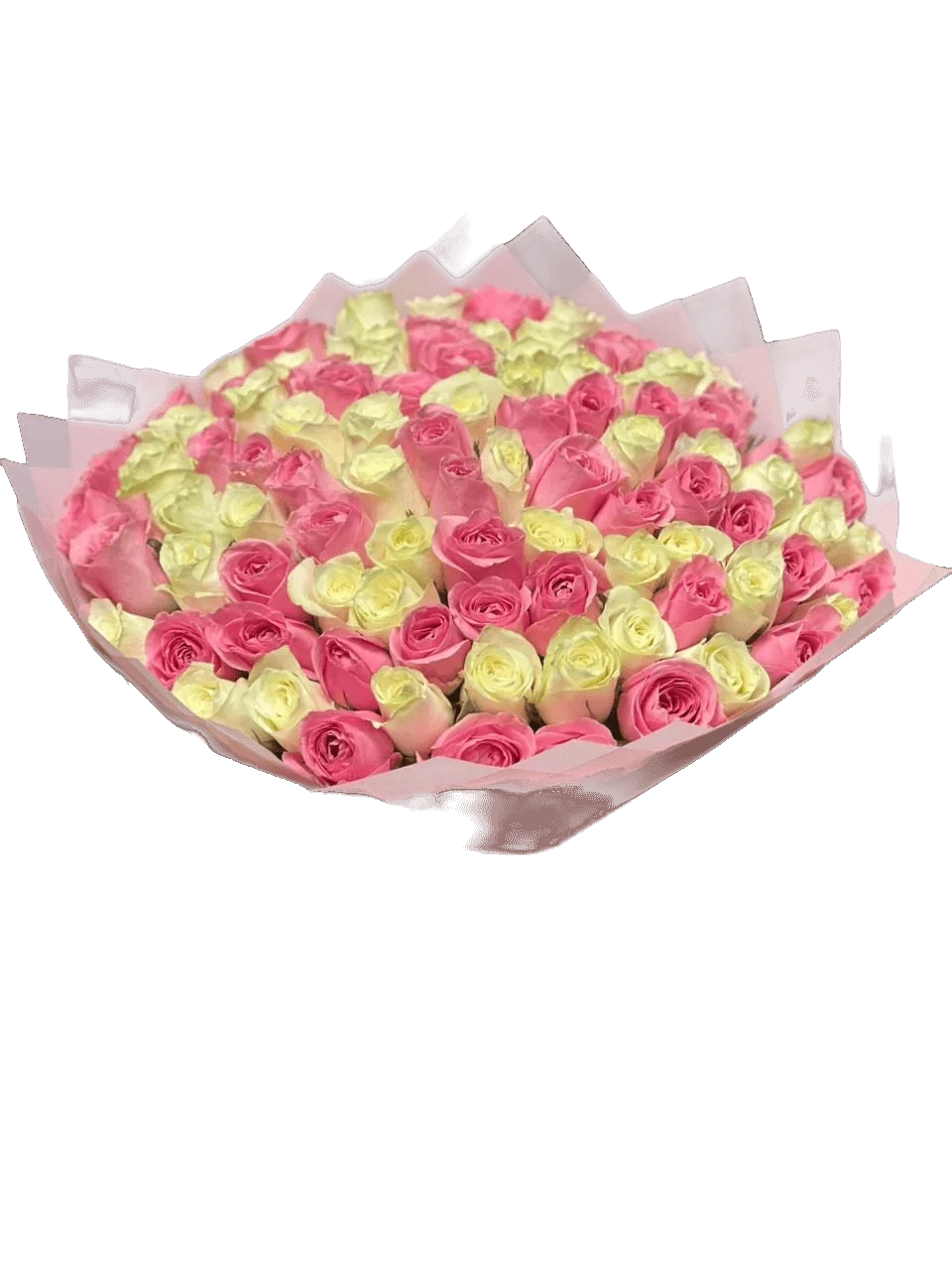 101 Mix Pink & White Roses, Pink Wrapping